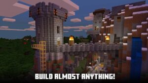 Minecraft 1.21.3 4