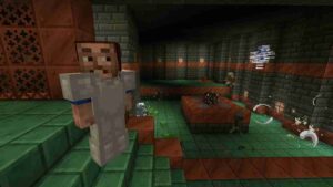 Minecraft 1.21.30 4